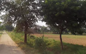 Kota Ghat, Uttar Pradesh 231211, India preview 3