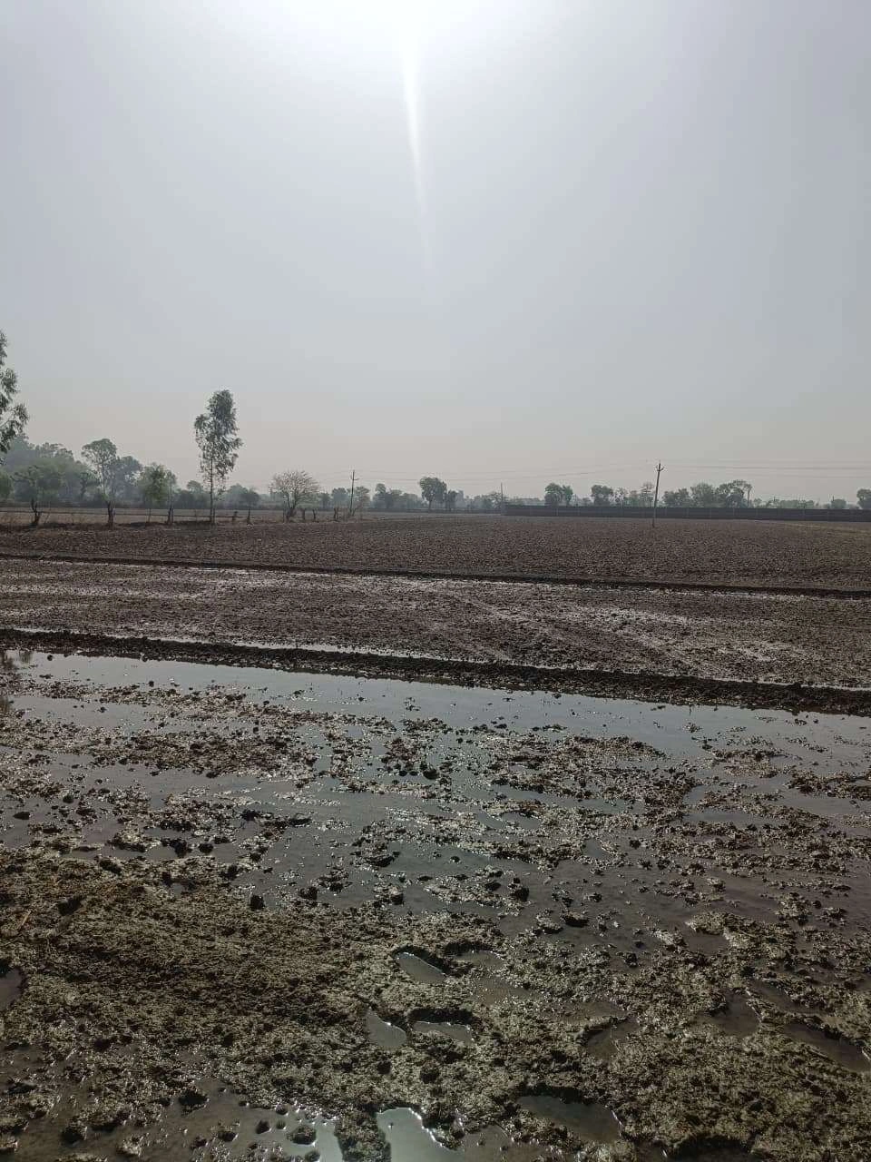 Ajhai Kalan, Uttar Pradesh 281406, India