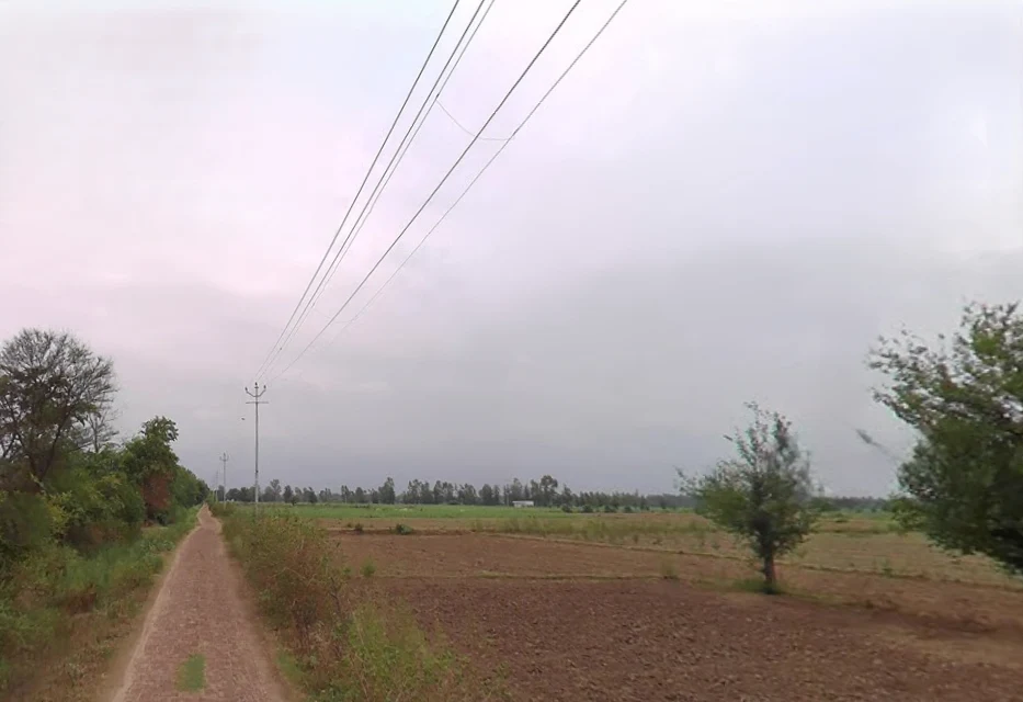 Sitarganj, Uttar Pradesh 243503, India