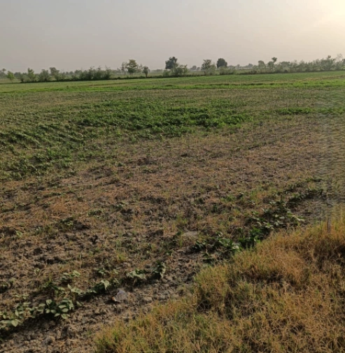 Deep Nagar, Punjab 141421, India
