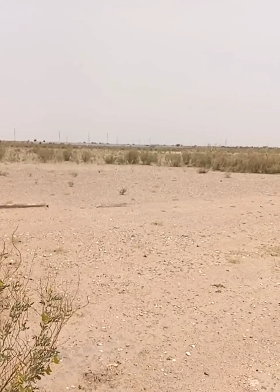 WWHH+5GQ, Jaisalmer, Pokhran, Rajasthan 345021, India