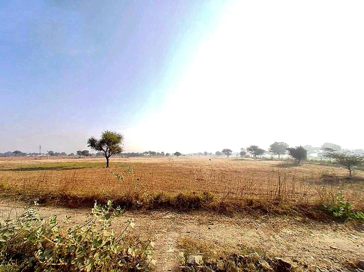 8JF5+Q3Q, Sargoth, Rajasthan 332404, India