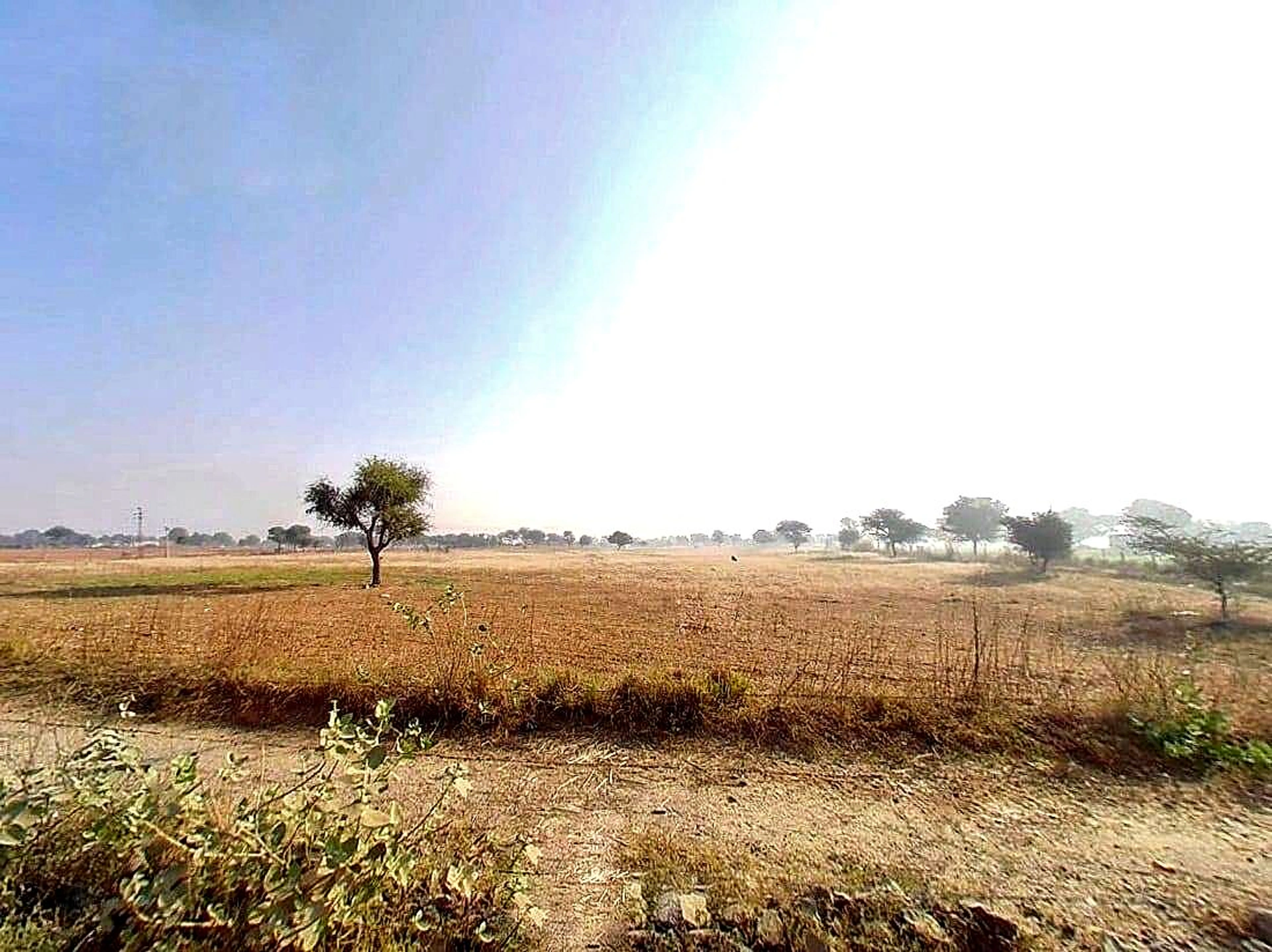 8JF5+Q3Q, Sargoth, Rajasthan 332404, India