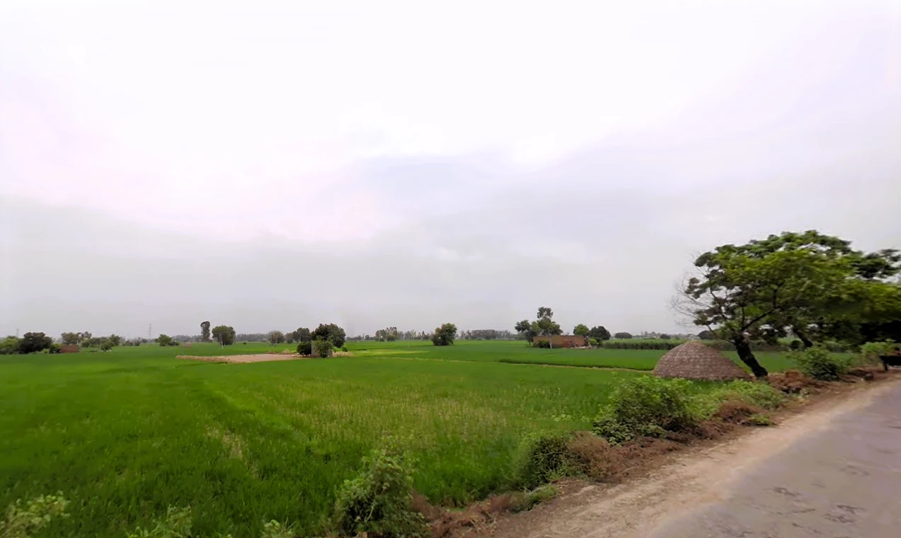 Rajound, Haryana 136044, India