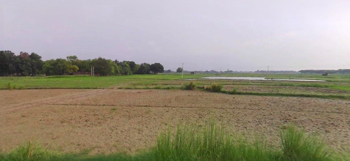 Rampur Maniharan, Uttar Pradesh 247451, India