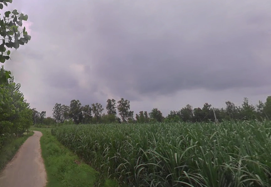 Naya Gaon, Uttar Pradesh 247451, India