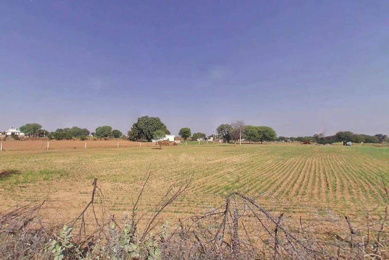 Jaipur Rd, Samod, Rajasthan 303806, India preview 2