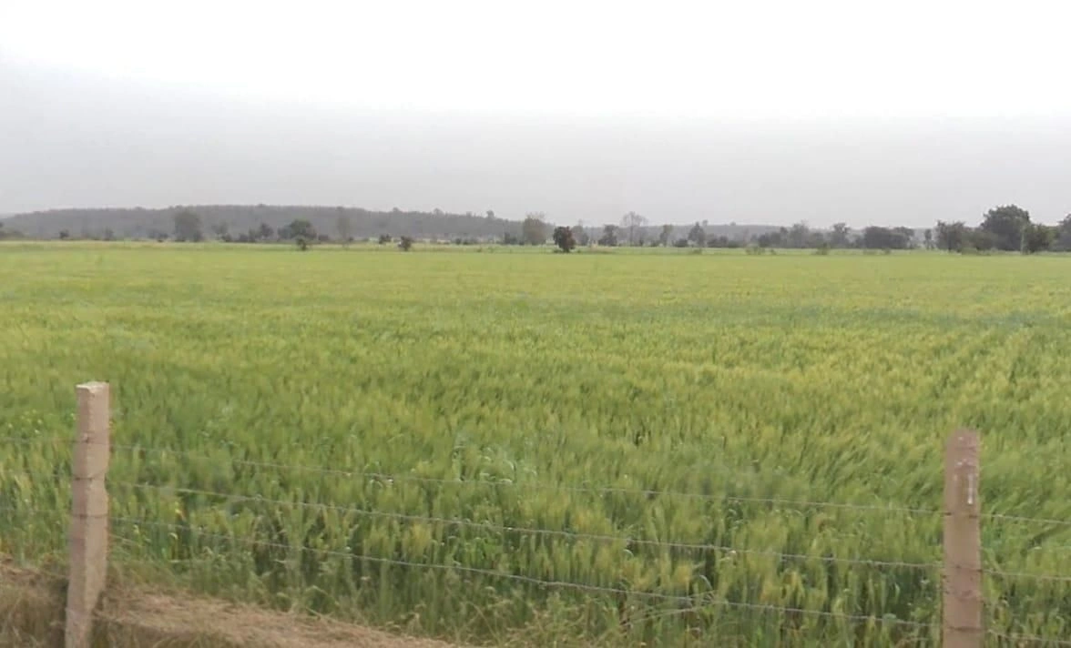 Neemkheda, Madhya Pradesh 482021, India