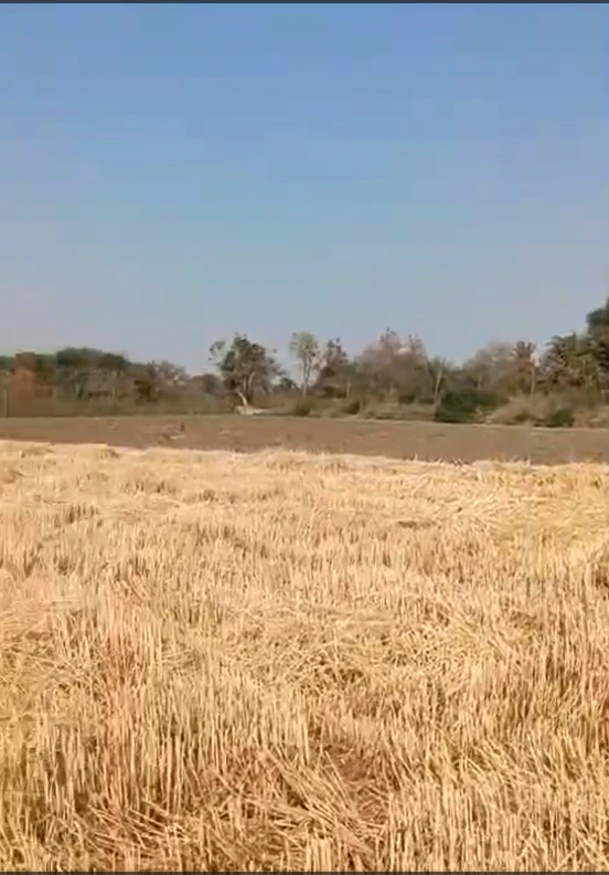 8HHP+QX8, Ujjain, Unhel, Madhya Pradesh 456221, India