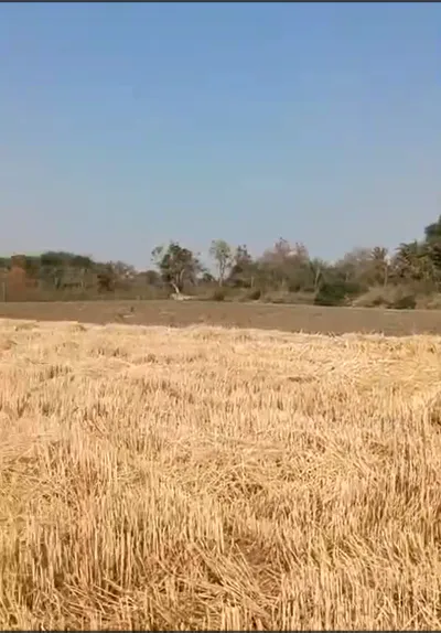 8HHP+QX8, Ujjain, Unhel, Madhya Pradesh 456221, India preview 3