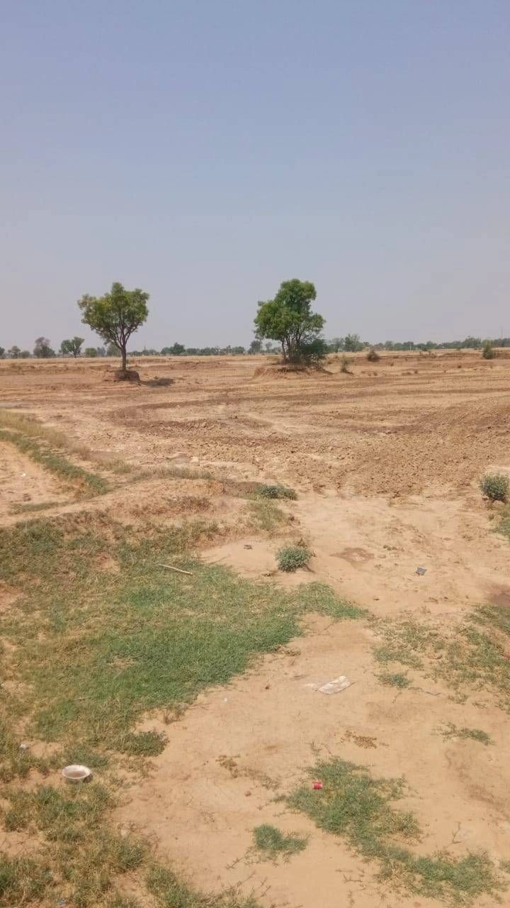 Binjari, Rajasthan, India