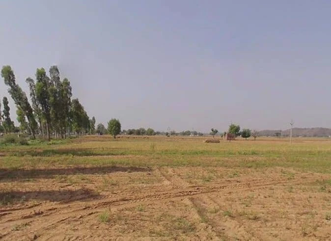 Chamroda, Rajasthan 301405, India