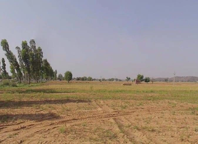 Chamroda, Rajasthan 301405, India