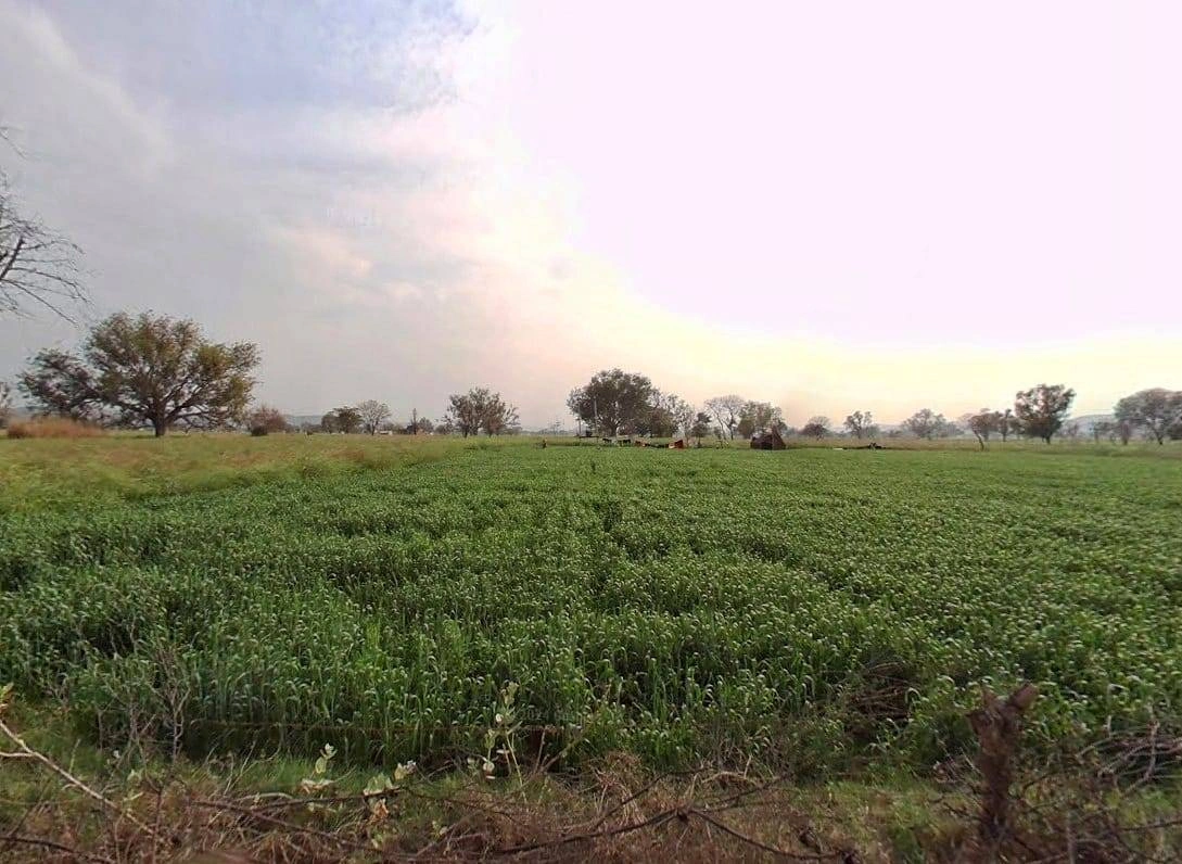 Pali, Rajasthan 301001, India