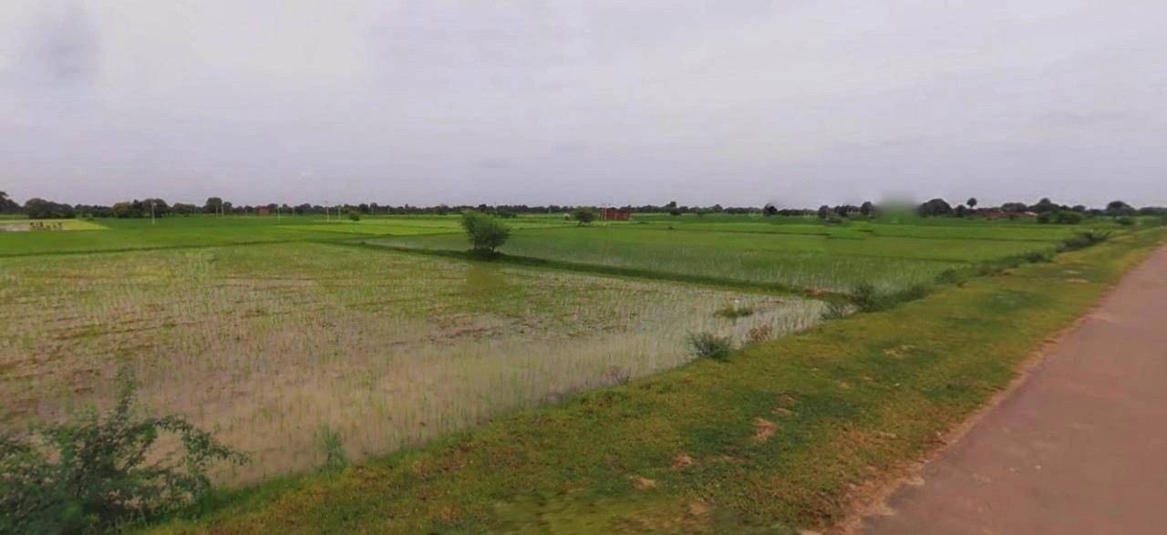 Hati, Madhya Pradesh 485221, India