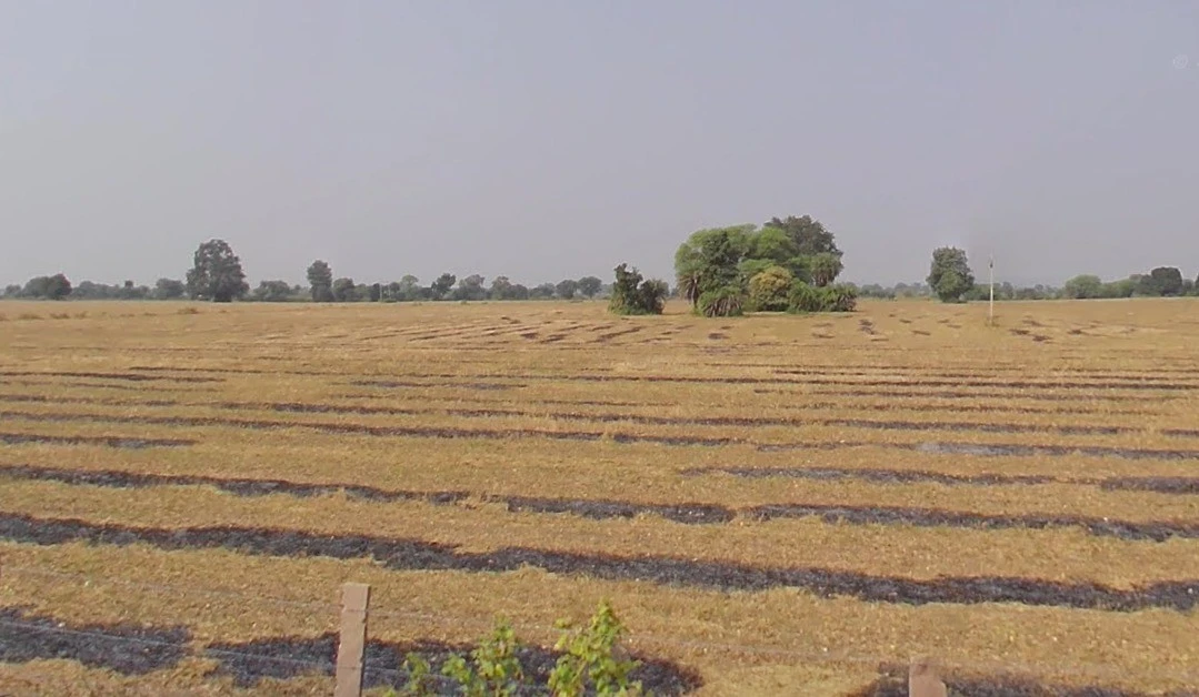 Phanda Kala, Madhya Pradesh 462030, India