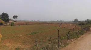 Panipat, Haryana, India preview 3