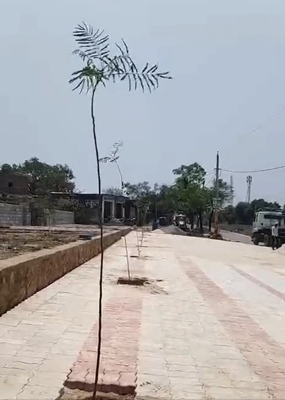 2PRF+G3P, Jaipur, Benarwith Daulatpura, Benar Daulpura, Rajasthan 302012, India