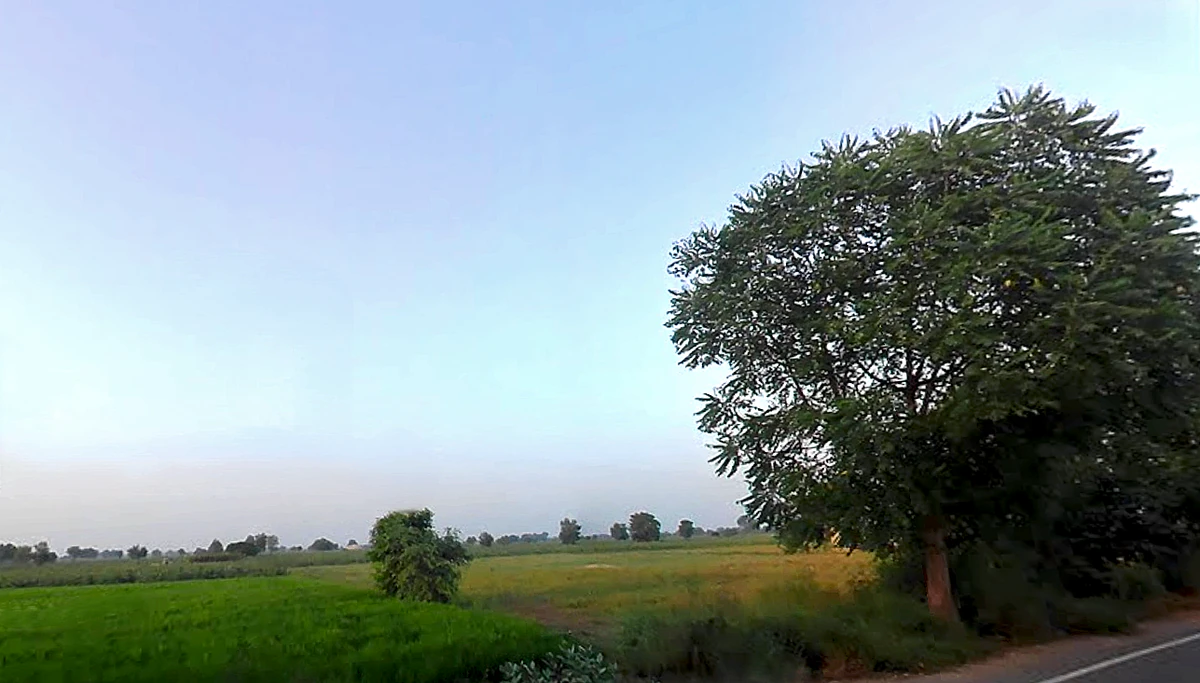 Agroha, Haryana 125047, India