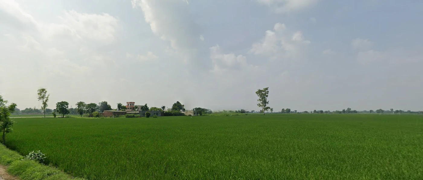 New Chandigarh, Punjab 140901, India