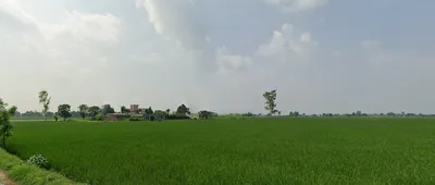 New Chandigarh, Punjab 140901, India preview 3