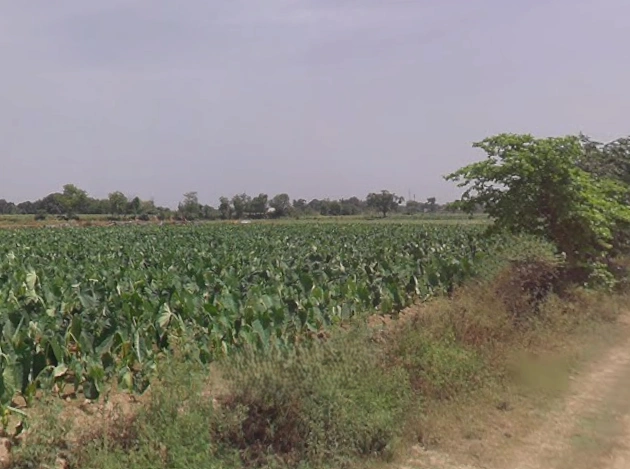 Aonla, Uttar Pradesh 243301, India