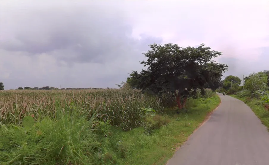 4PCP+QV4, Kiraoli, Korai, Uttar Pradesh 283110, India preview 2