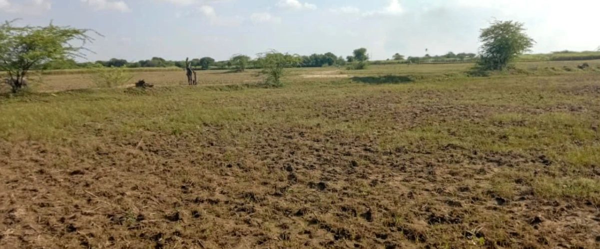 Zahidpur, Haryana 124103, India