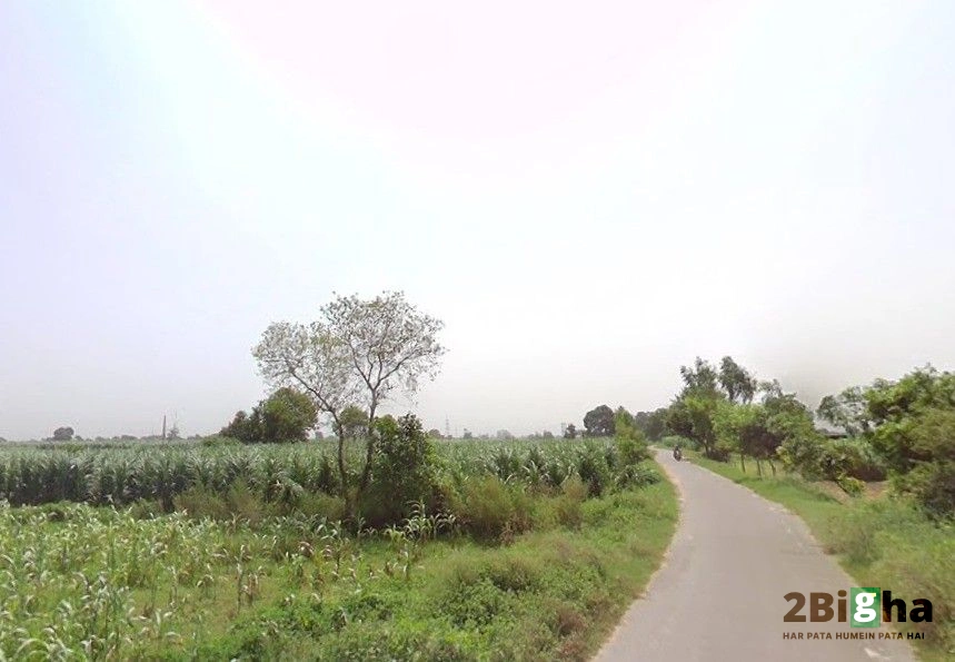 Pithlokar, Uttar Pradesh 250342, India