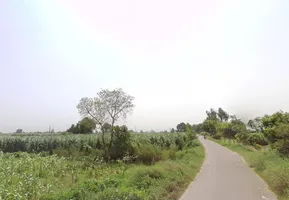 Pithlokar, Uttar Pradesh 250342, India preview 2