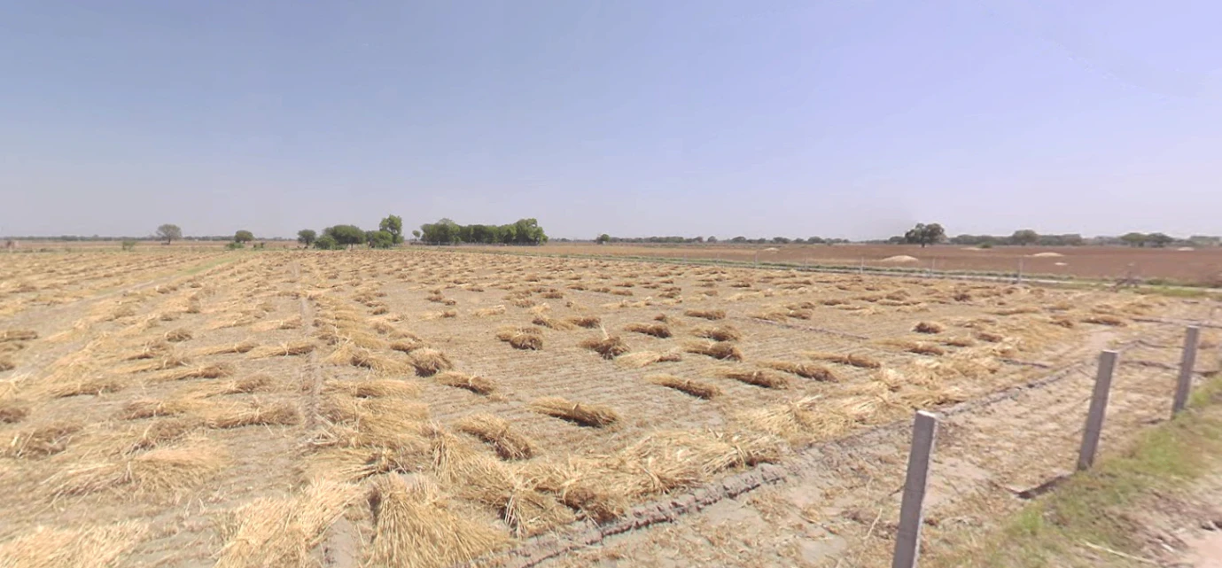 Chekhla, Gujarat 382115, India