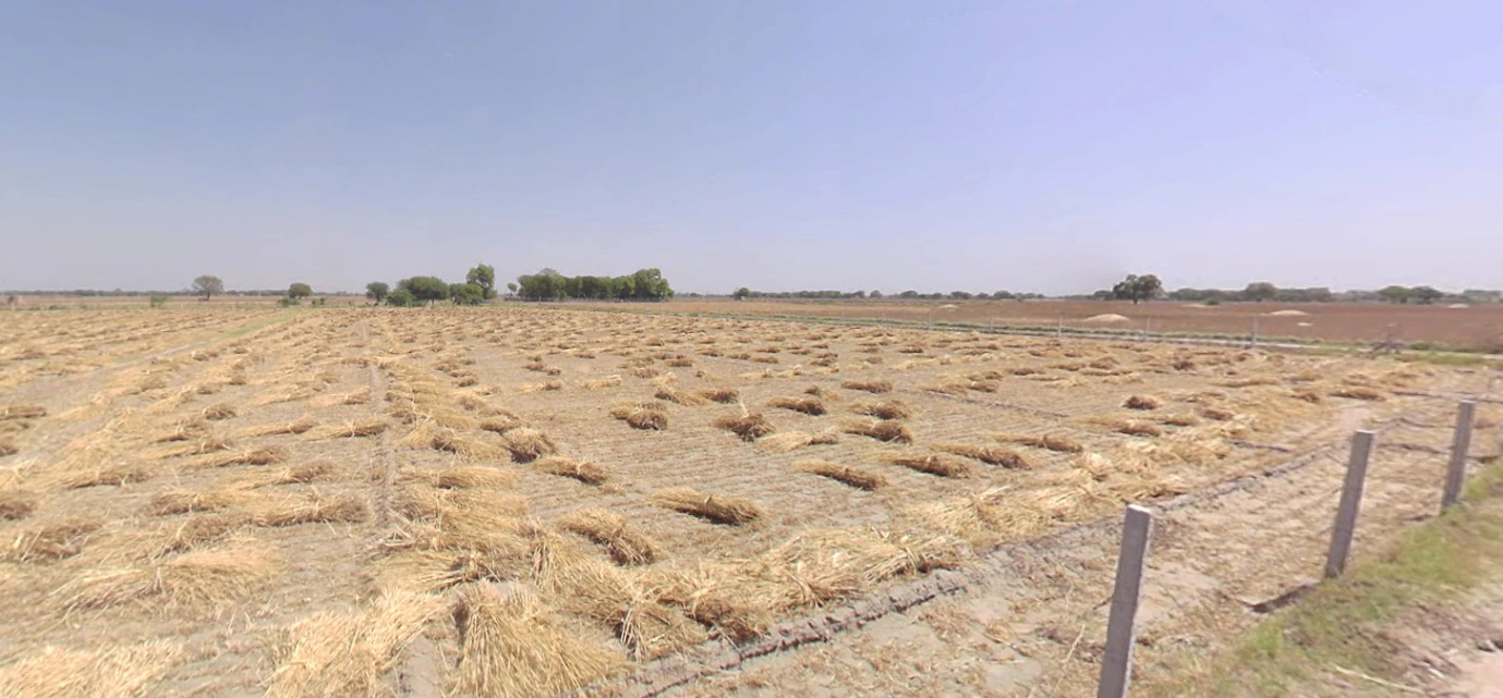 Chekhla, Gujarat 382115, India