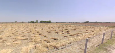 Chekhla, Gujarat 382115, India preview 2