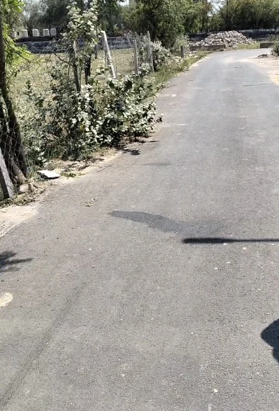 PRJQ+C2V, Jaipur, Beelwa, Chota, Khetapura, Bari Ka Bas, Rajasthan 302029, India