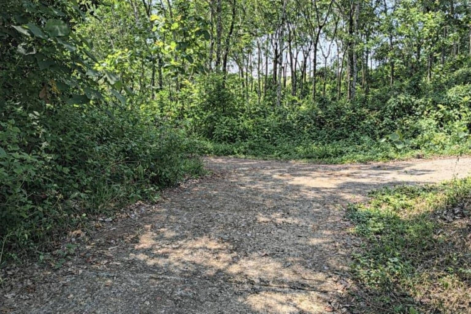 7RXR+8MV, Attachakkal - Chengara - Kumbalampoika Road, Puthukkulam, Malayalapuzha, Malayalapuzha-Puthukkulam, Kerala 689664, India