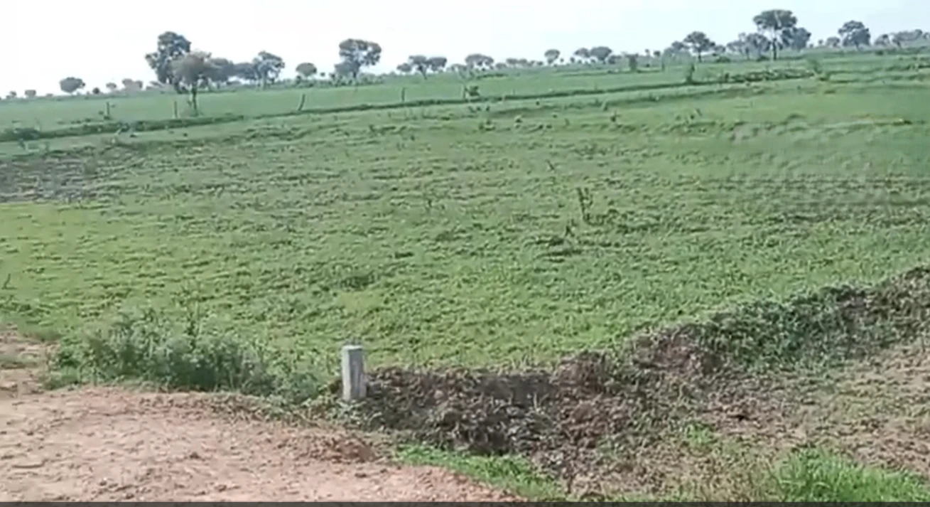 X95X+VPG, Gwalior, Pichhore, Madhya Pradesh 475115, India