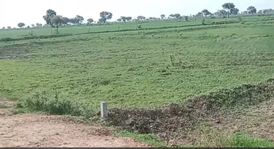X95X+VPG, Gwalior, Pichhore, Madhya Pradesh 475115, India preview 2
