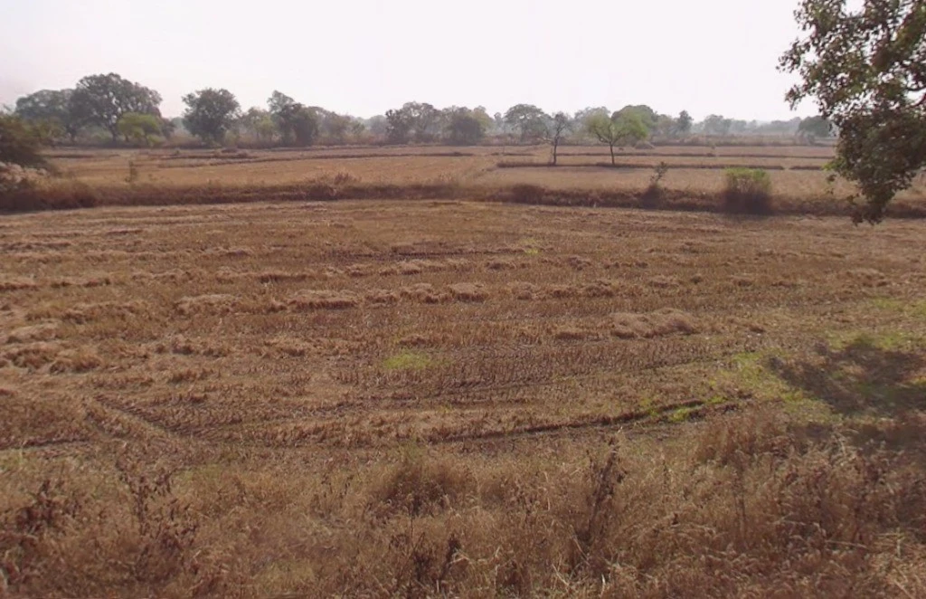 Murlidih, Chhattisgarh, India