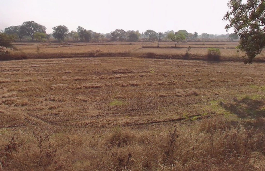 Murlidih, Chhattisgarh, India
