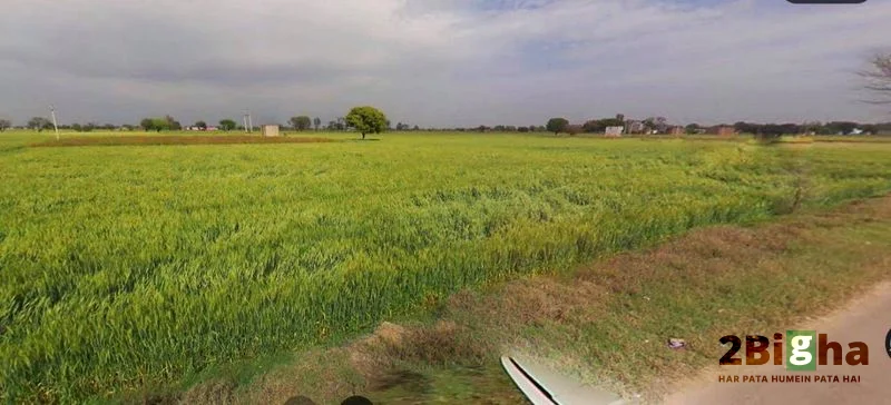 6RMJ+C7V, NH 86, Basaora, Uttar Pradesh 210427, India preview 2