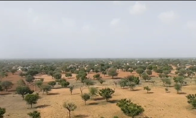 CCVR+VP6, Jaipur - Jhunjhunu Bypass Rd, Shahpura, Rajasthan 332411, India