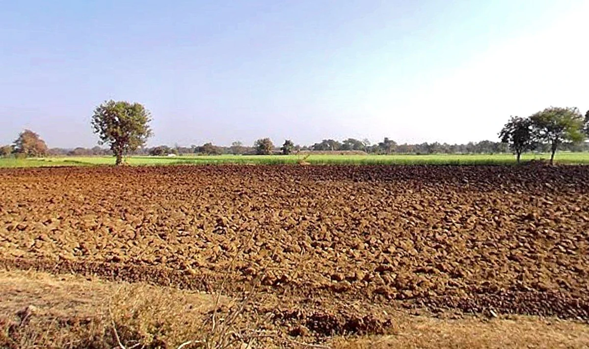 Huzur, Madhya Pradesh 462001, India