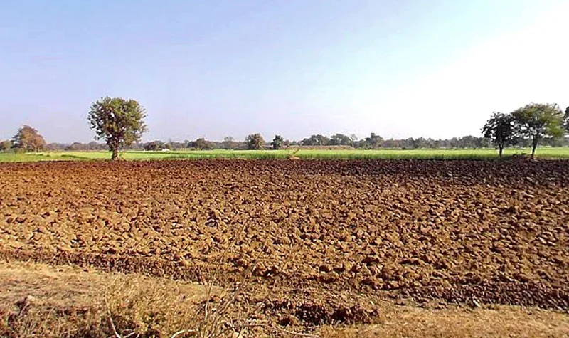 Huzur, Madhya Pradesh 462001, India preview 2