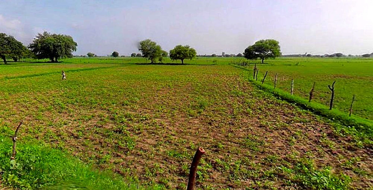 Barsana, Uttar Pradesh 281405, India