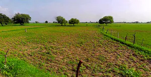 Barsana, Uttar Pradesh 281405, India preview 2