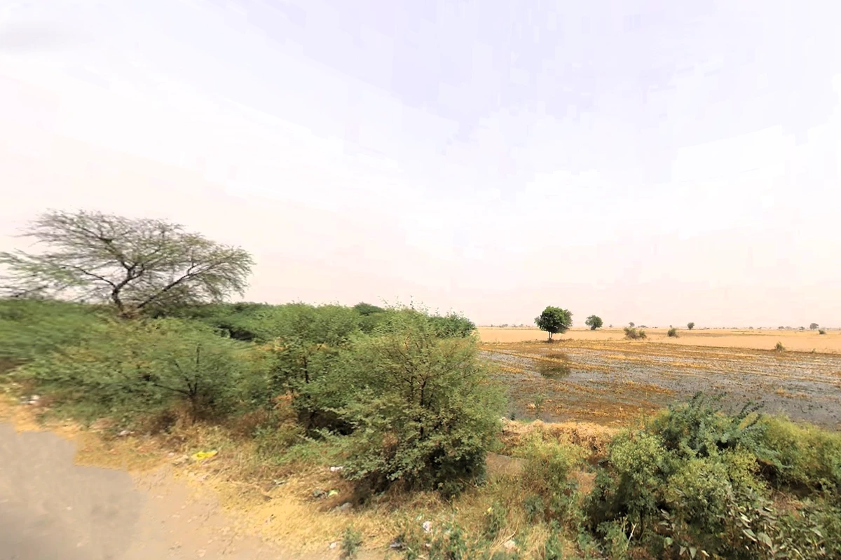 Luhari, Haryana 124108, India