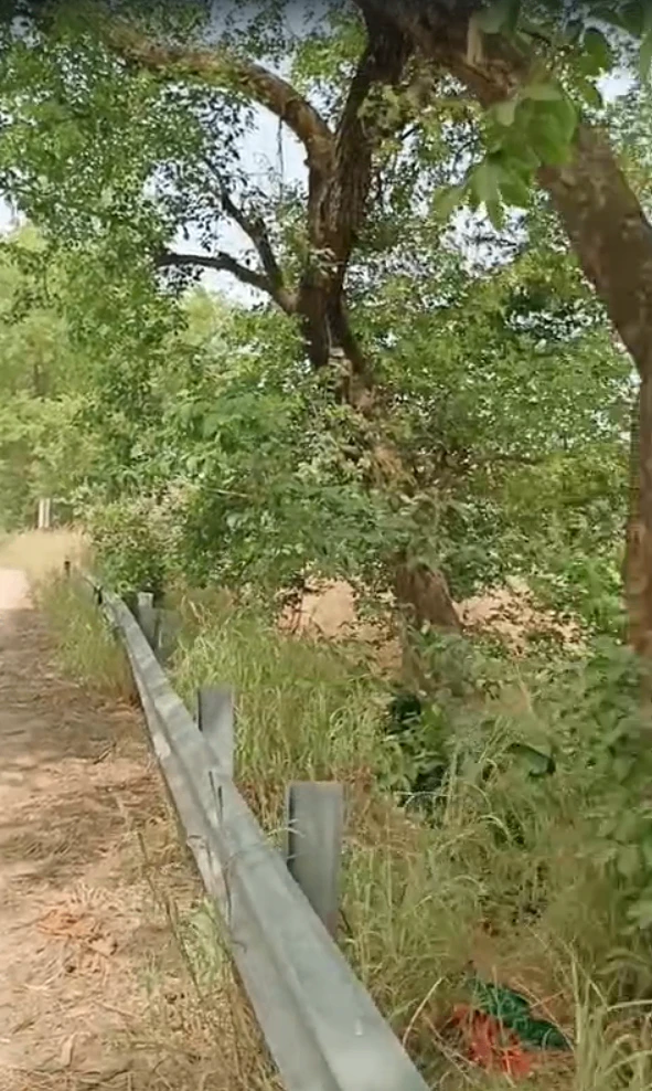 JXRQ+5VR, Alavas Baturi, Uttar Pradesh 203402, India