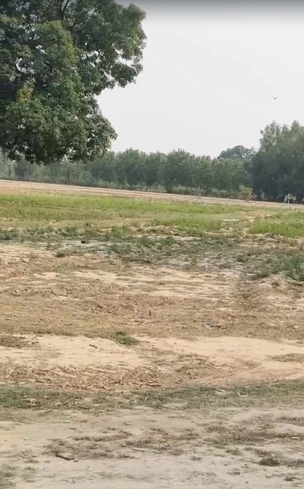 Biswan, Sitapur, Uttar Pradesh 261201, India