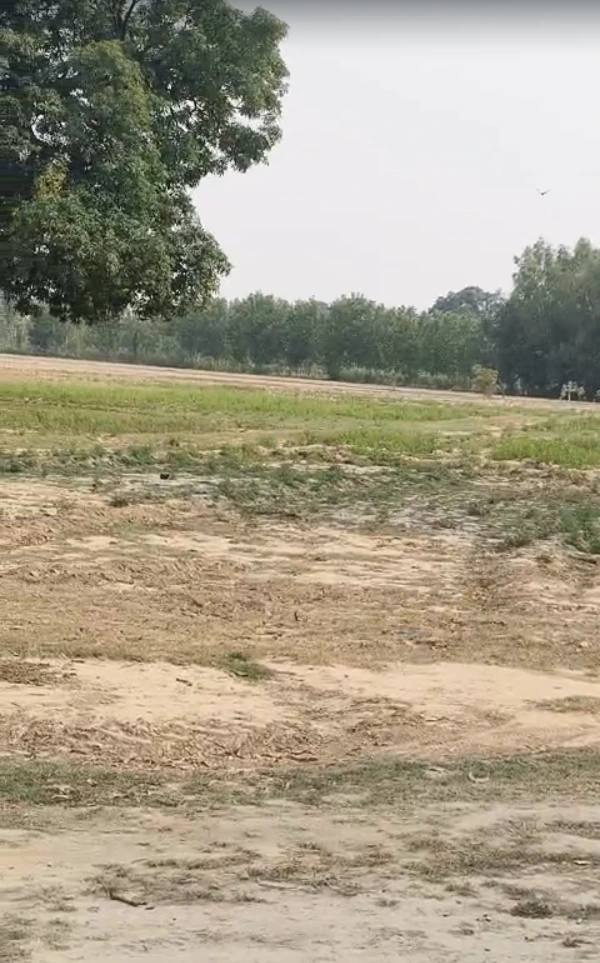 Biswan, Sitapur, Uttar Pradesh 261201, India