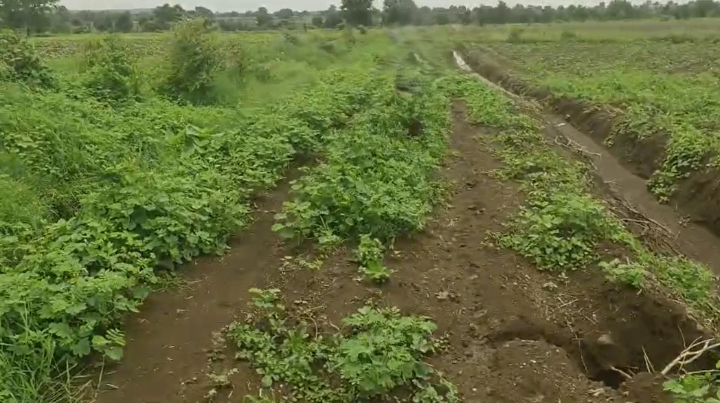 9PMW+9R4, Vikarabad, Kotpalli, Telangana 501106, India